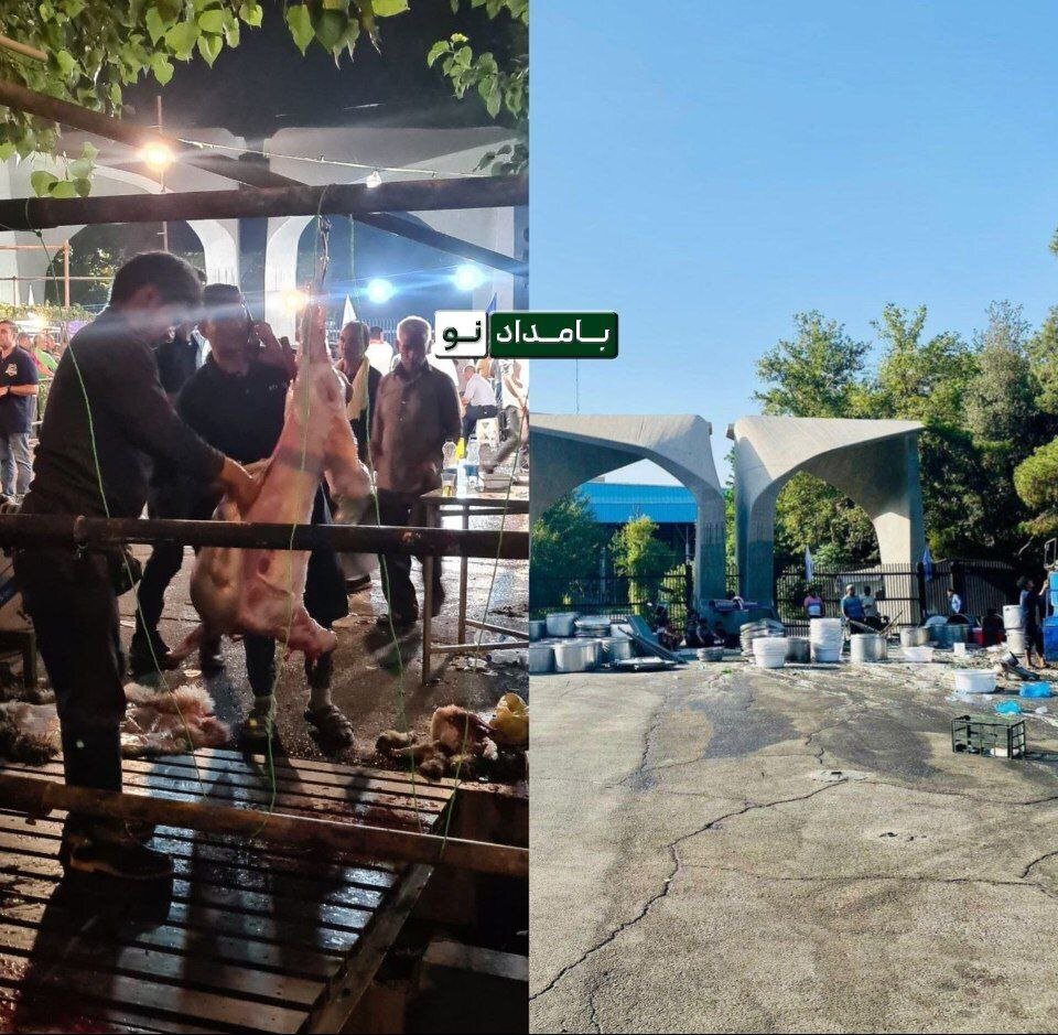 دانشگاه تهران