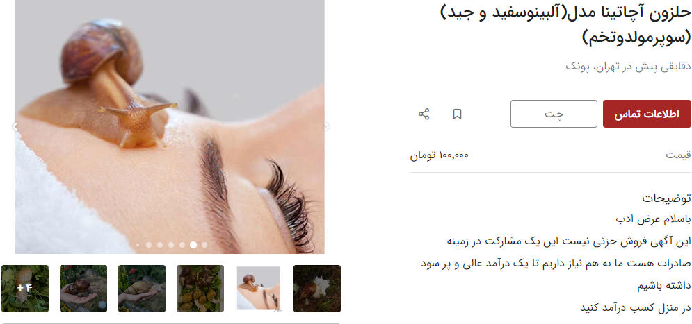 خرید و فروش عجیب در فضای مجازی / ۵ تا جوجه حلزون نیم میلیون!