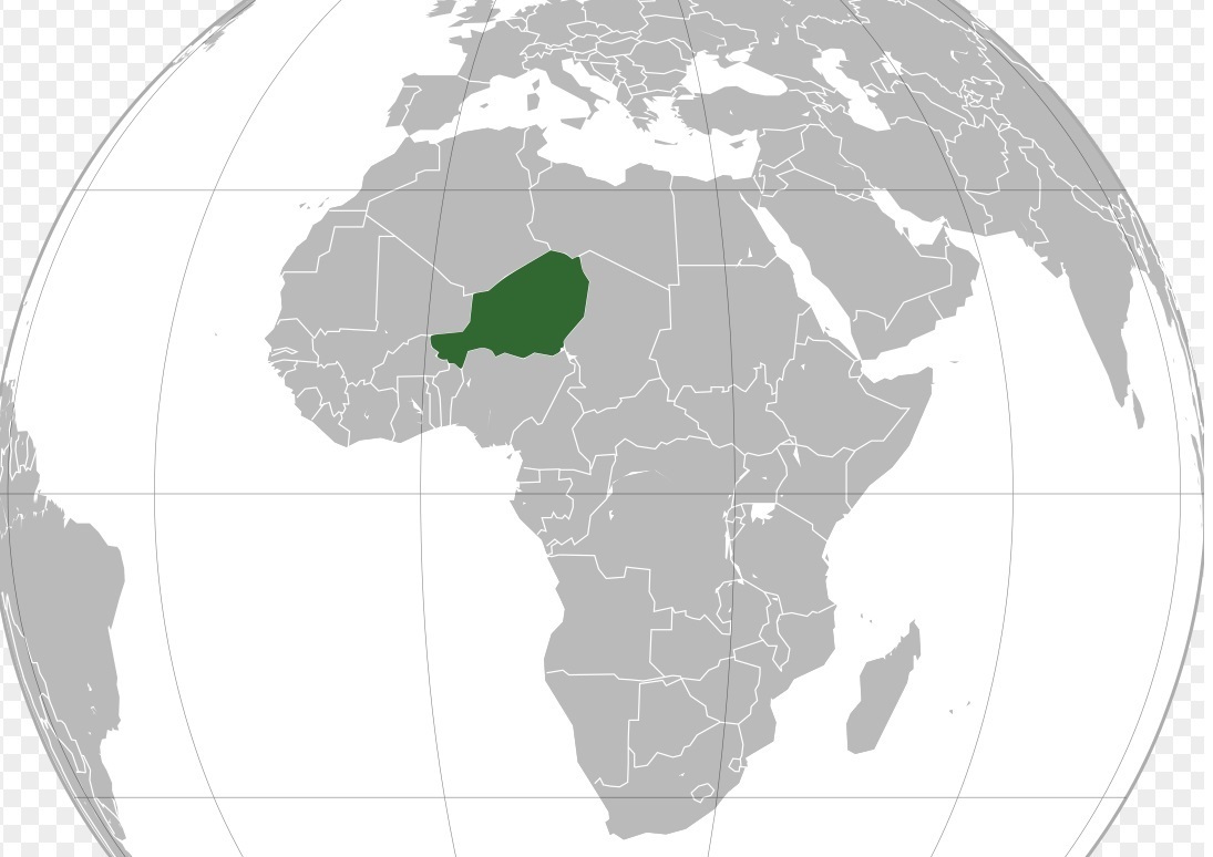 کودتا در نیجر