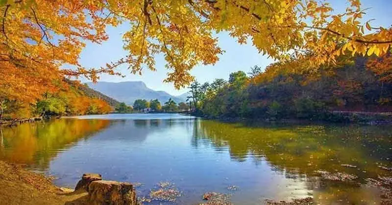 سوادکوه