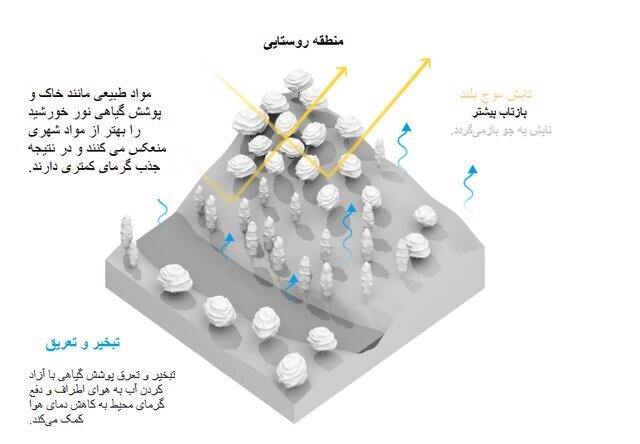 (عکس) متهمان اصلی گرمای هوا شناسایی شدند!