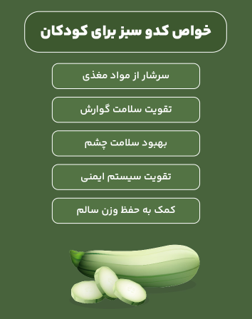 خواص کدو سبز؛ از درمان کبد چرب تا جلوگیری از افزایش وزن