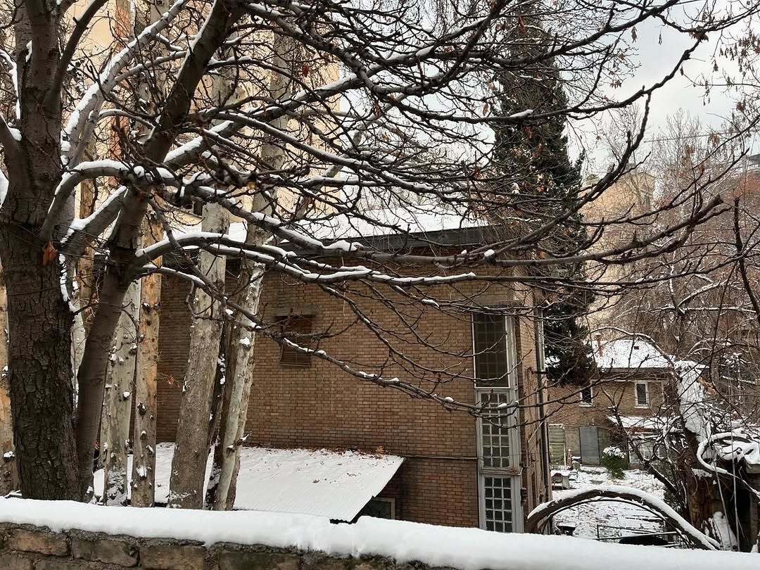 خانه ییلاقی و ۷۰ساله خیابان سالور؛ نگین بی‌همتای محله الهیه