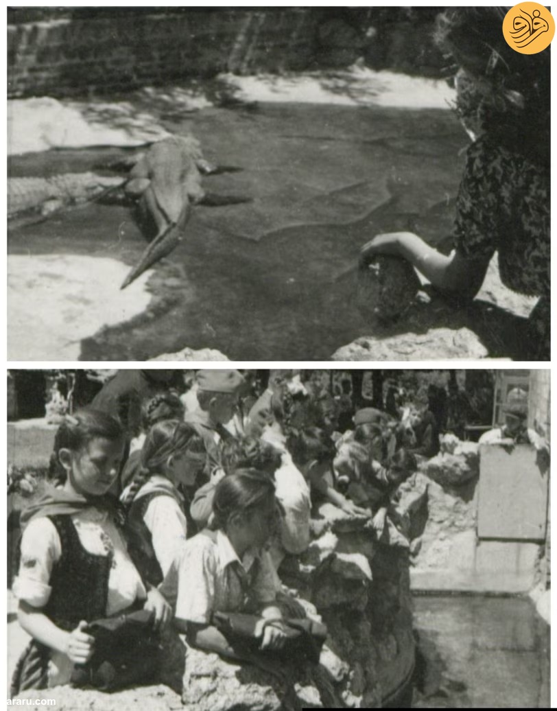 (تصاویر)