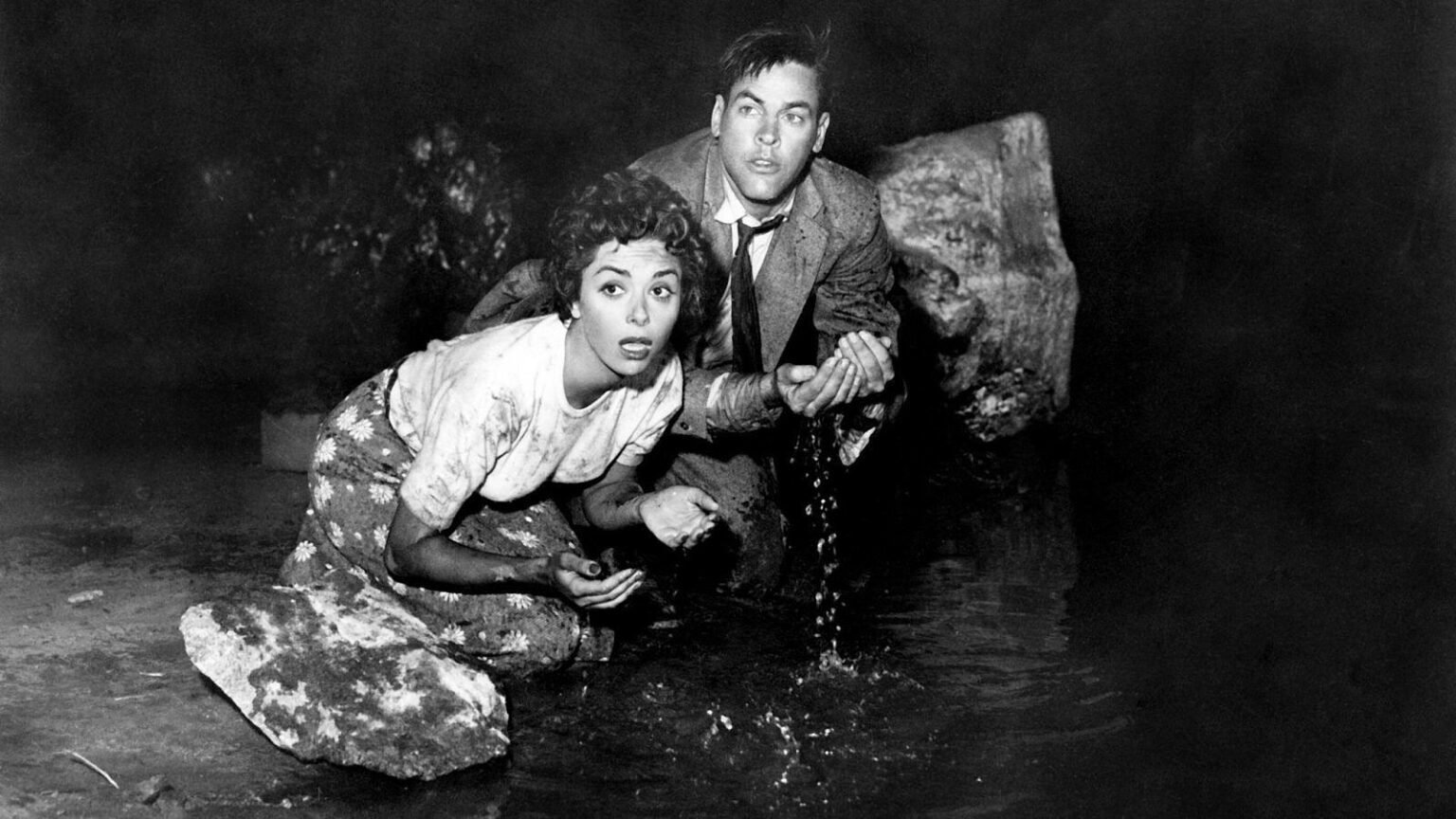 Invasion of the Body Snatchers