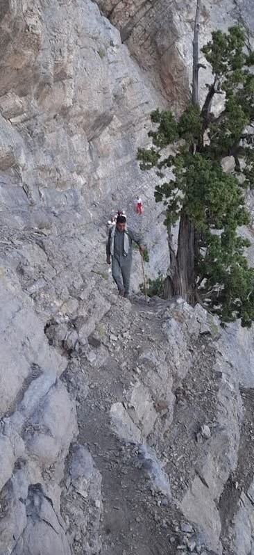 محیط‌بان
