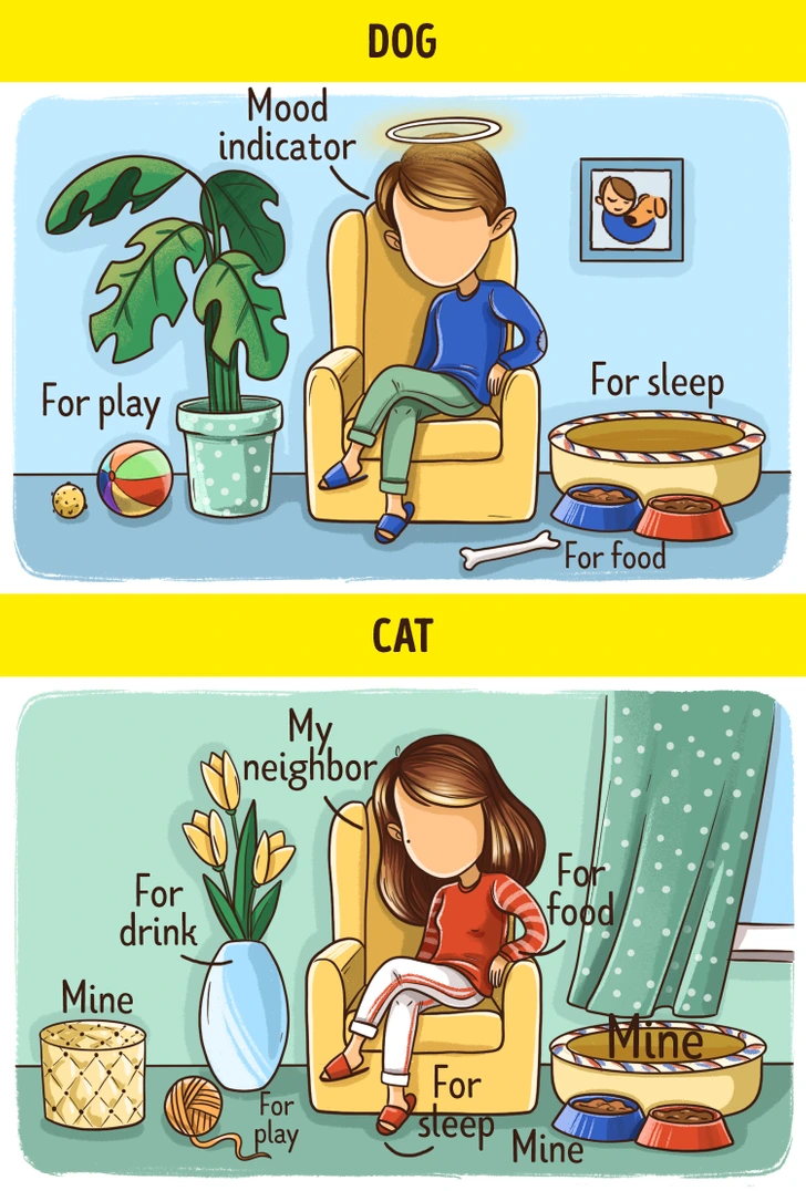 گربه‌ها و سگ‌ها