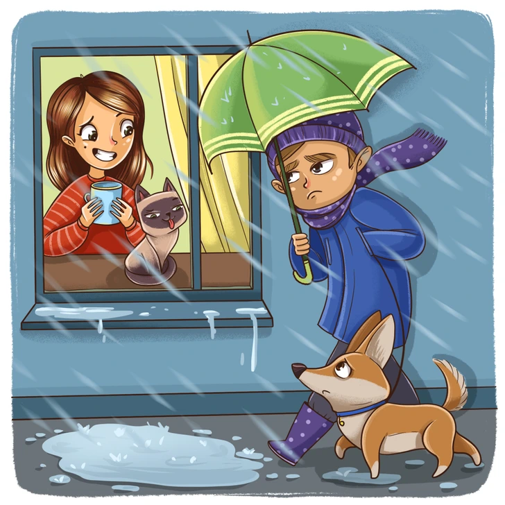 گربه‌ها و سگ‌ها