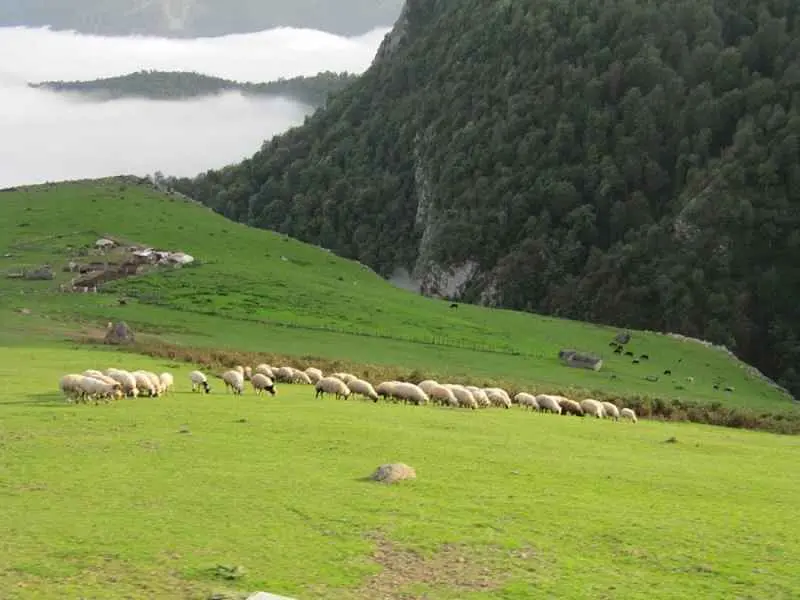 ۲۰ تا از بهترین روستاهای گیلان برای سفر