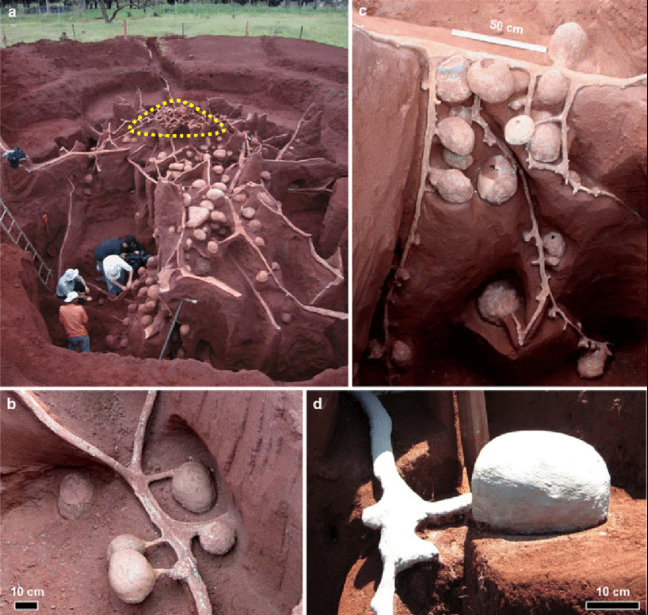 (عکس) بتن‌ریزی در لانه عظیم مورچه‌ها و کشف شهری شگفت‌انگیز