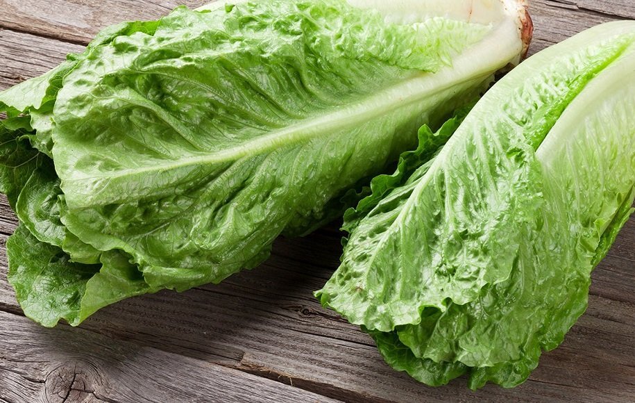 با مصرف این خوراکی‌ها در طول روز هیدراته بمانید/ ۱۰ ماده غذایی آبرسان