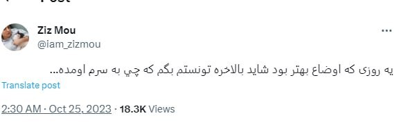 (عکس) زینب موسوی از آزاد شدنش خبر داد