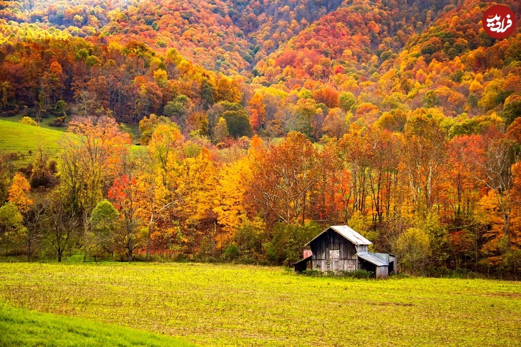 (عکس) زیبایی مسحورکنندۀ طویله‌های تاریخی