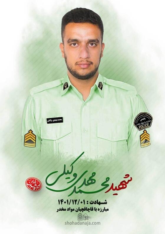 محمد مهدی وکیلی