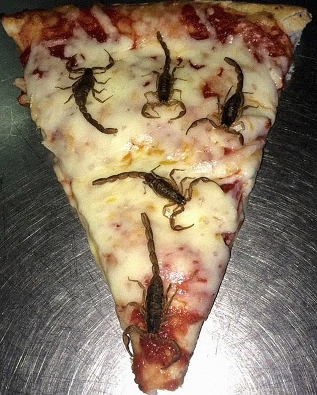 تصاویری از غذا‌های ناخوشایند و ترسناکی که اشتهایتان را کور می‌کند!