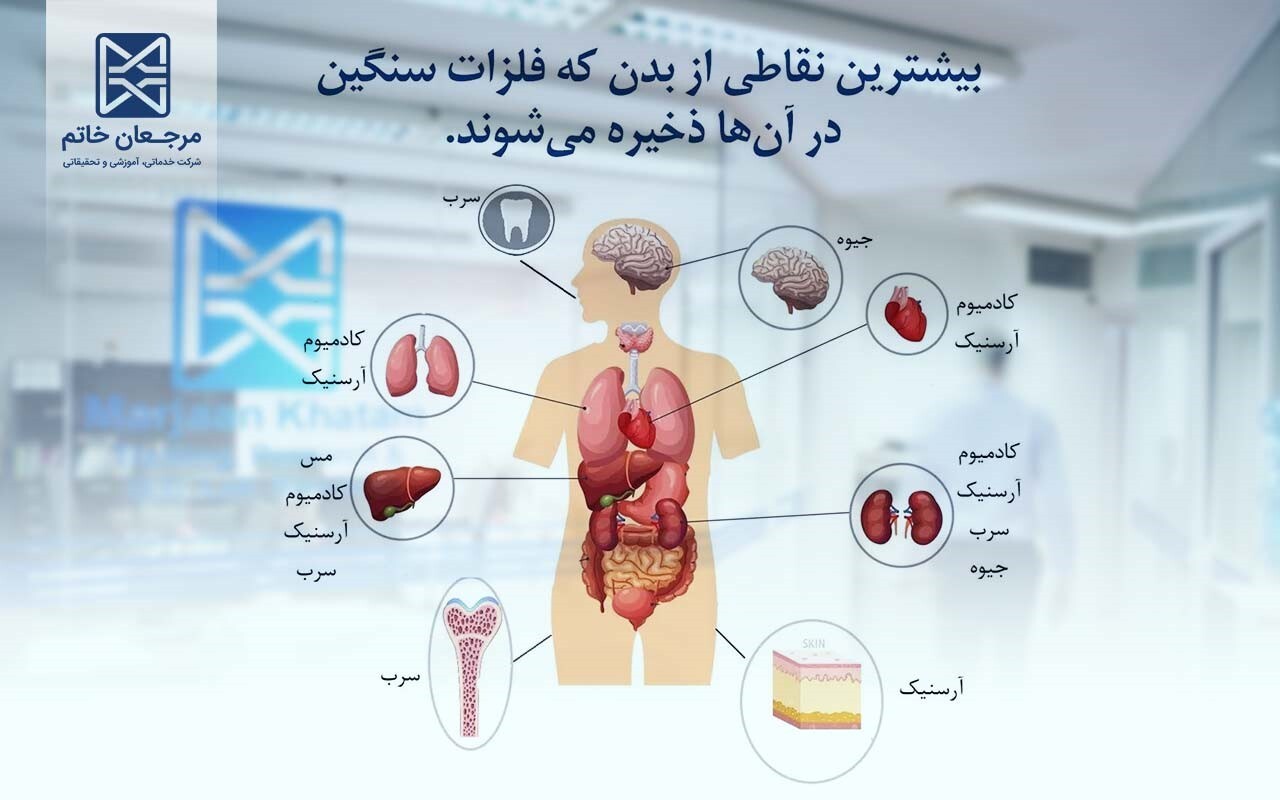 آزمایشگاه مواد غذایی مرجعان خاتم+ اندازه گیری فلزات سنگین در مواد غذایی