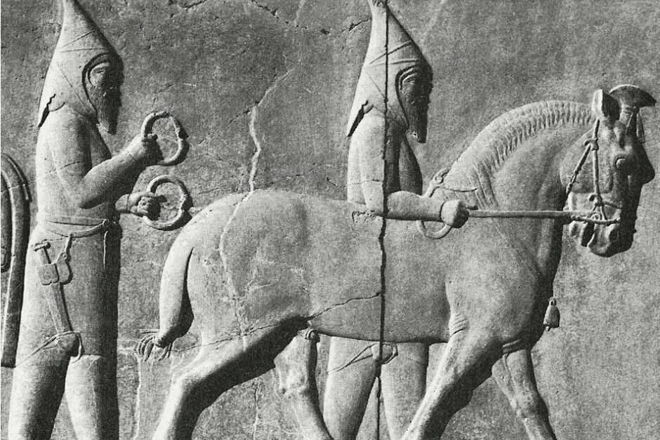 زیباترین اسب ایرانی که دست پرورده عشایر است!
