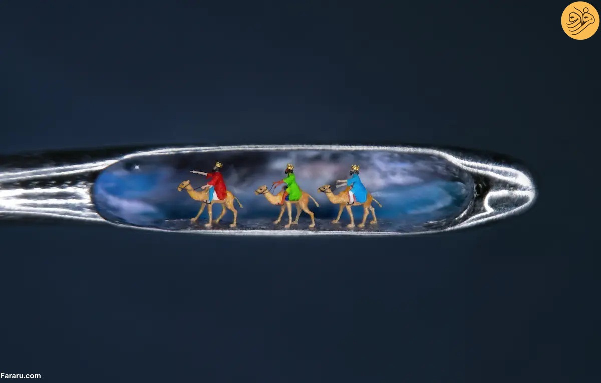 (عکس)