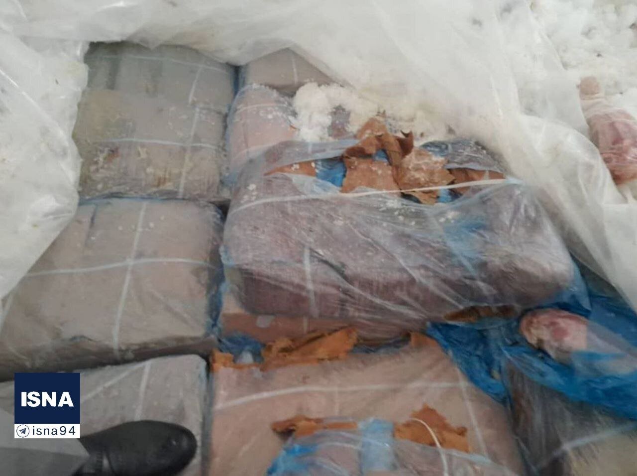 کشف محموله زبان حیوانات در میناب؛ از زبان گراز تا گاو