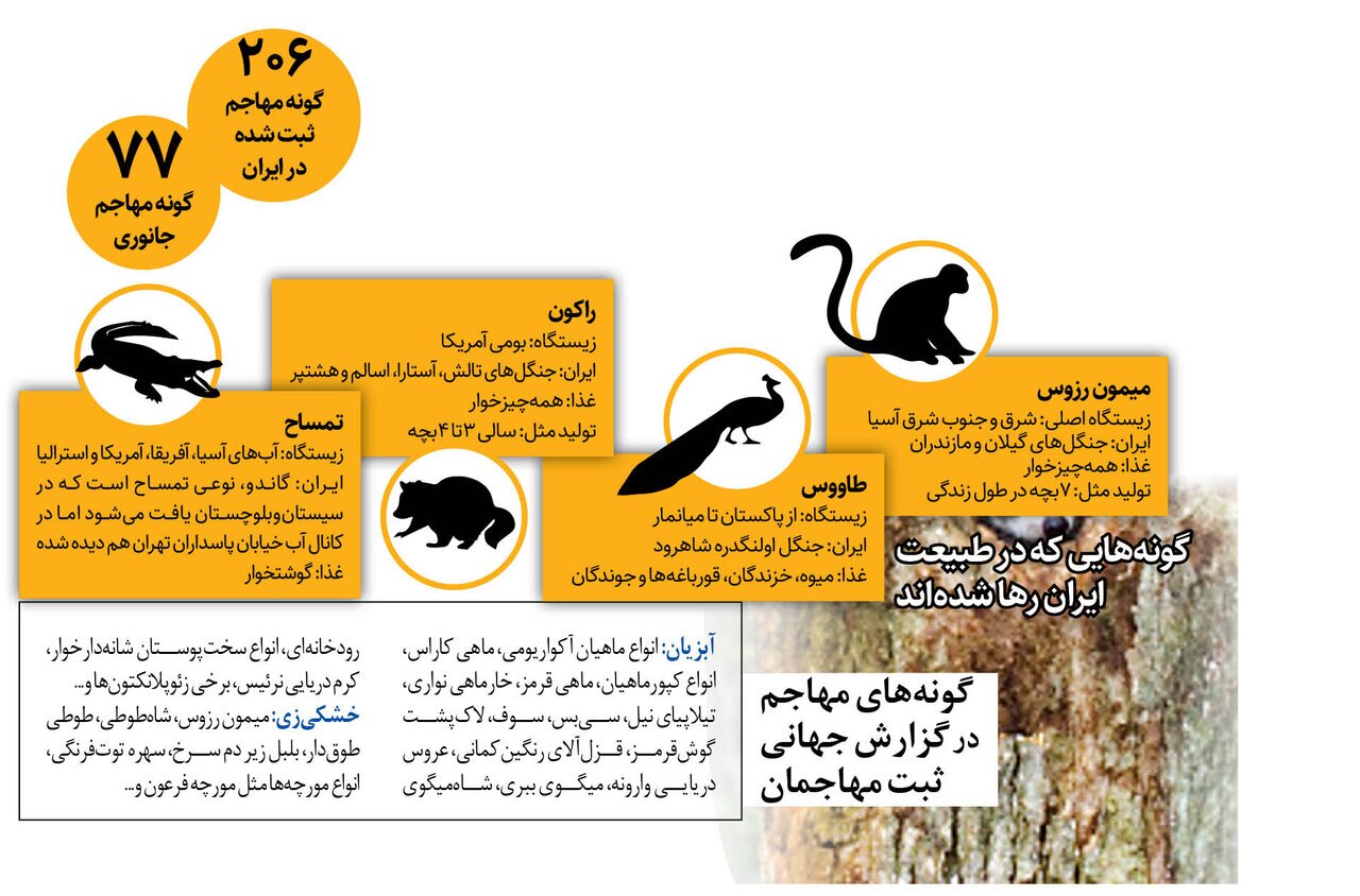 مشاهده تمساح در کانال آب تهران و توله‌شیر در قم/ حیوانات عجیبی که ایرانی‌ها در خانه‌ها نگهداری می‌کنند/ با ۲۰۶ مهمان ناخوانده طبیعت ایران آشنا شوید