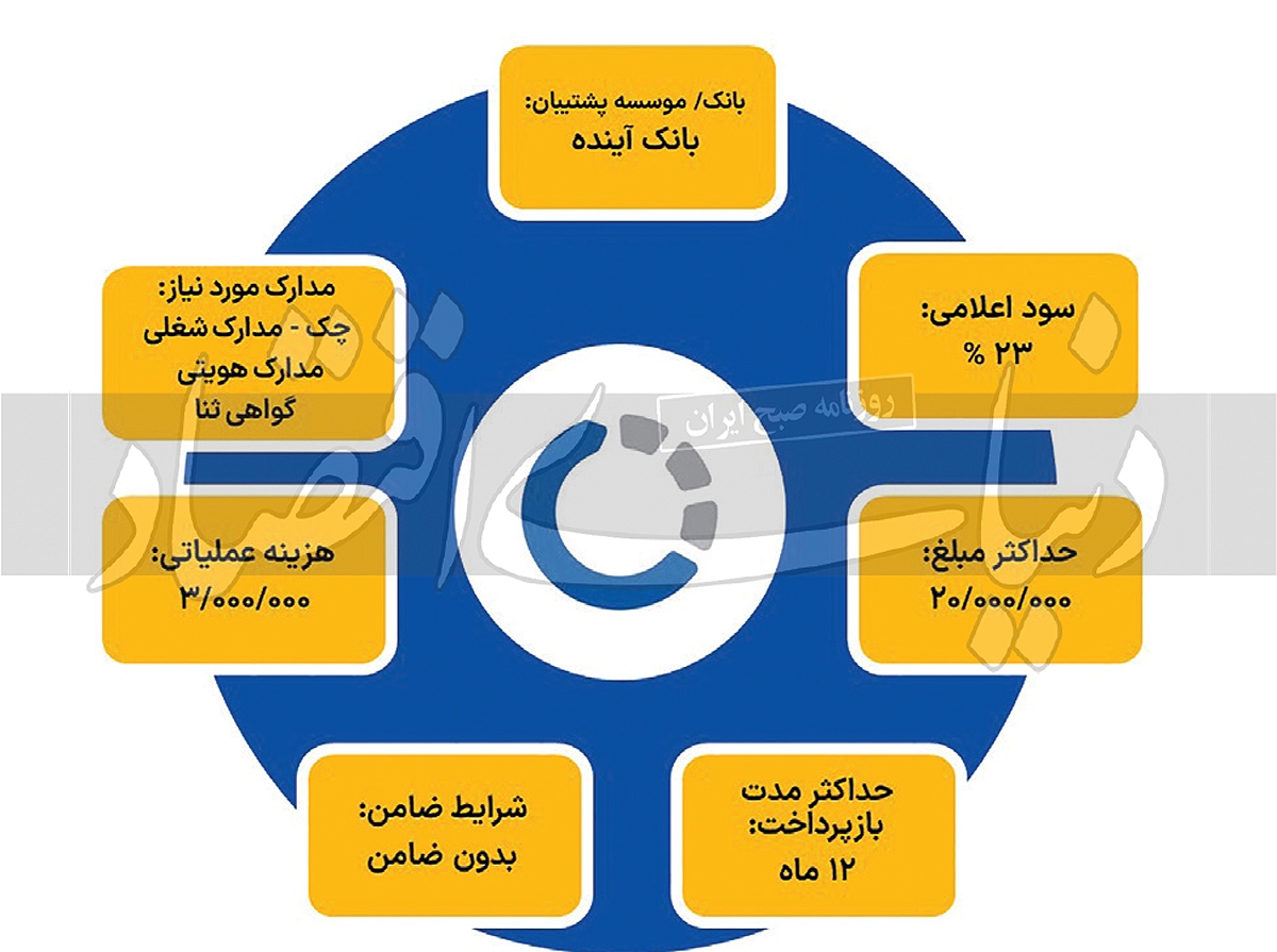 دریافت تسهیلات خرد از کدام شرکت ساده‌تر است؟ ///