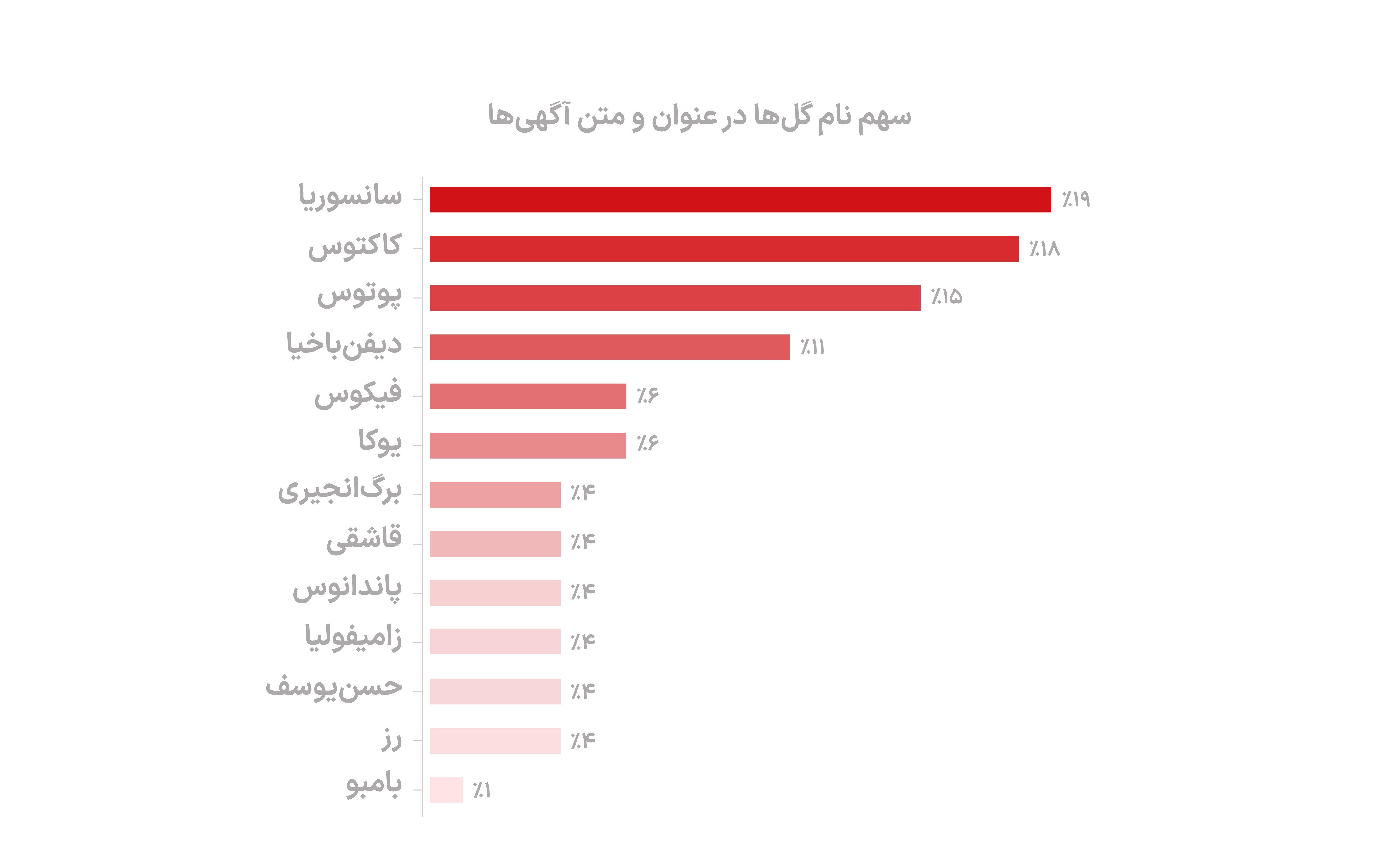 «سانسوریا» و «کاکتوس»؛ محبوب‌ترین گل‌های دیوار