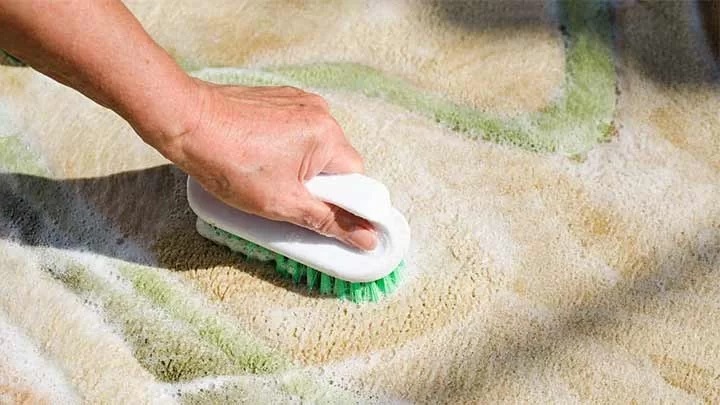 جمع کردن مو از روی موکت و فرش با ۹ ترفند ساده
