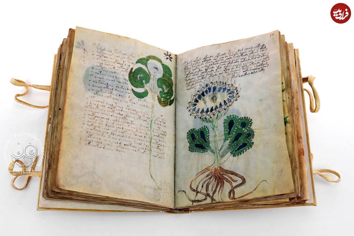 سرگذشت «مرموزترین کتاب جهان» که هیچ‌کس نمی‌داند دربارۀ چیست