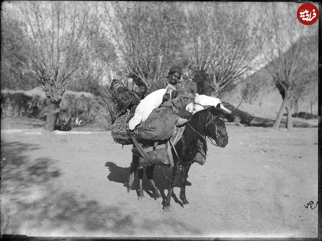 (تصاویر) بوقلمون‌فروشی سیار تا خرسواری در اردوی سلطنتی زمان قاجار