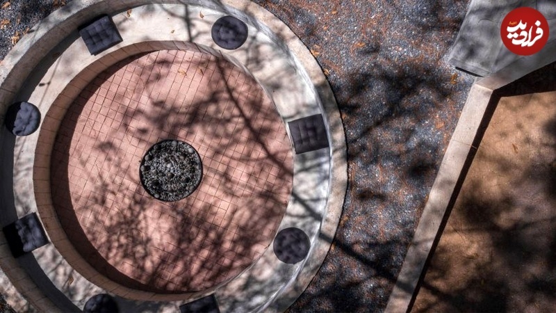 (تصاویر) وقتی معماری تجربۀ زندگی در جنگل را تغییر می‌دهد