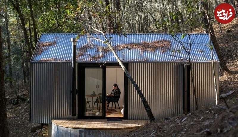 (تصاویر) وقتی معماری تجربۀ زندگی در جنگل را تغییر می‌دهد