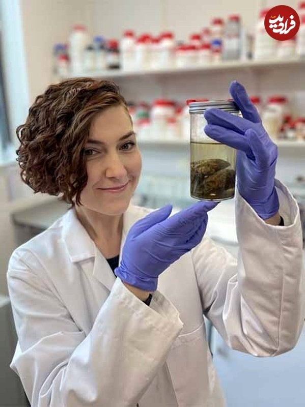 آیا «مغز» می‌تواند هزاران سال دوام بیاورد؟