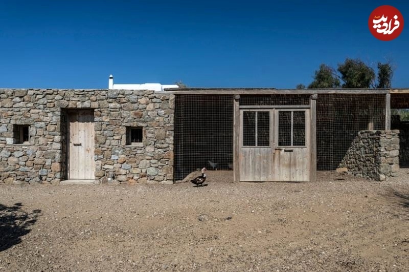 (تصاویر) تبدیل «مرغداری» به یک ویلای مدرن و جذاب! در حال تکمیل