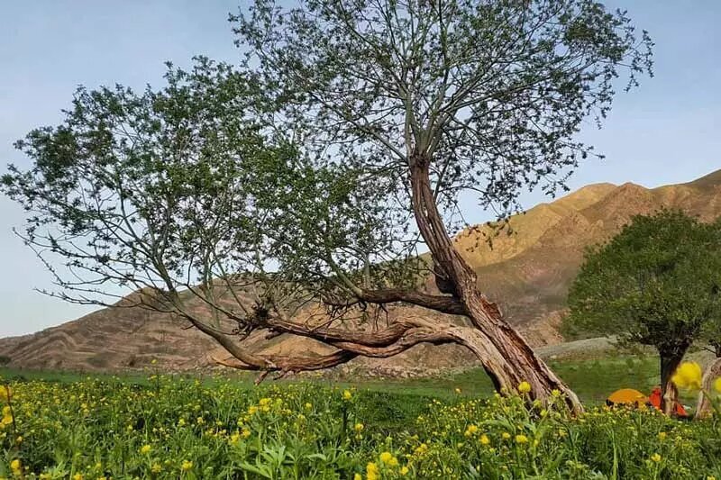 اینجا بهشت خوش آب و هوای تهرانی‌ها است!