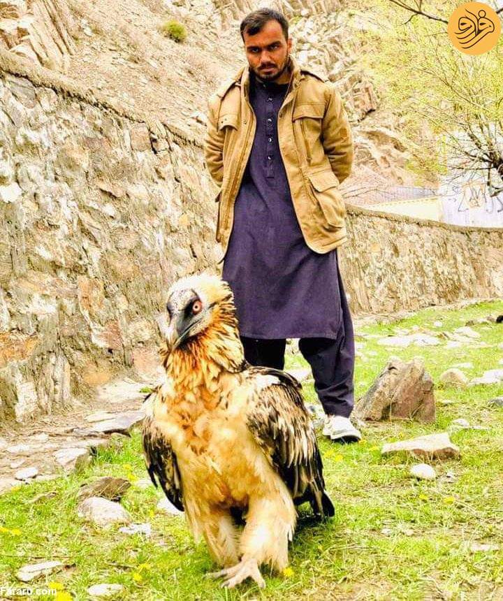(عکس)