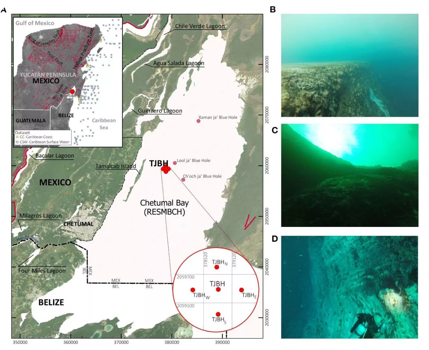 دانشمندان عمیق‌ترین گودال آبی جهان را در مکزیک کشف کردند