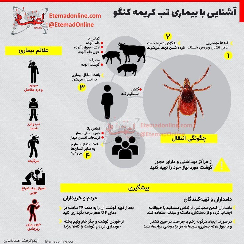 آشنایی با بیماری تب کریمه کنگو (اینفوگرافیک)