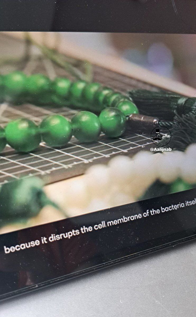 (تصویر) هدیه جالب عربستان به زائران حج امسال