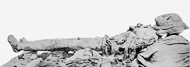 شبیه سازی چهره آمنهوتپ سوم «ثروتمندترین مرد جهان» پس از ۳،۴۰۰ سال