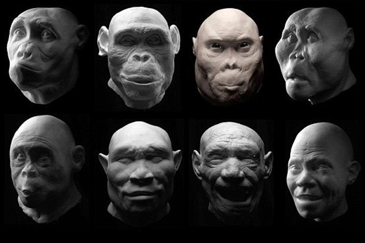 شکل صورت ما، حاصل دعوا‌های صدهزار ساله است!