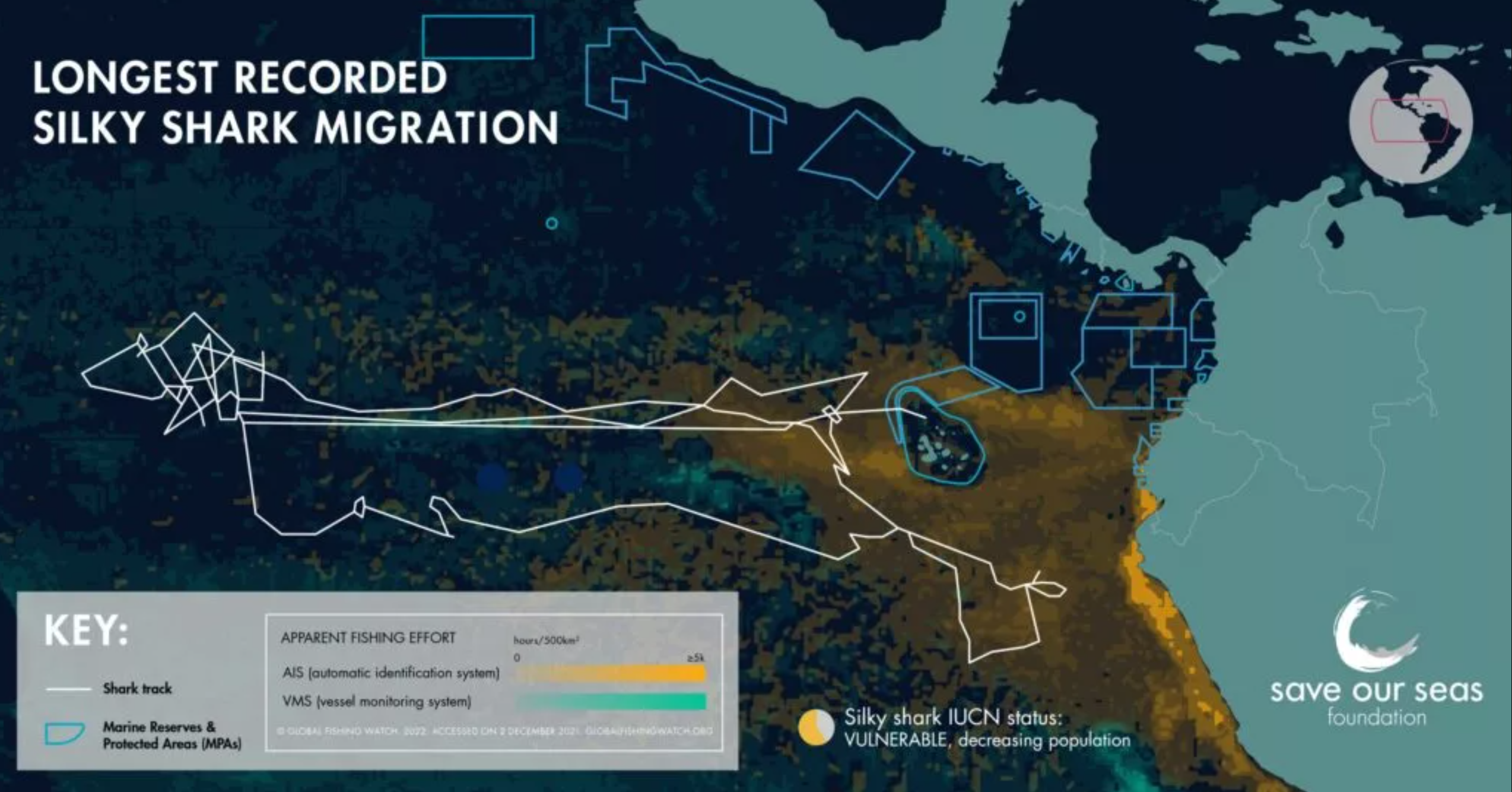 کوسه‌ای به نام «جینی» رکورد طولانی‌ترین شنا برای مهاجرت را شکست