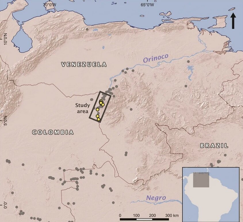 کشف مار‌های ۴۰ متری در ونزوئلا