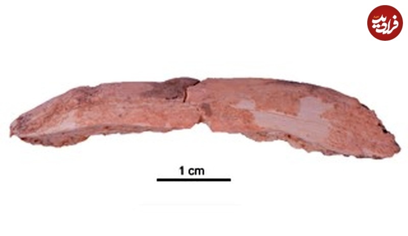 انسان‌های منقرض شده «۱۵۰ هزار سال» در این غار زندگی کرده‌اند