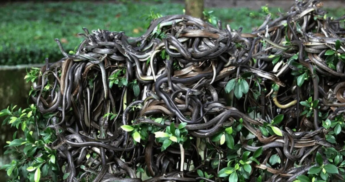 (تصاویر) ورود به این ۶ منطقه ممنوع است