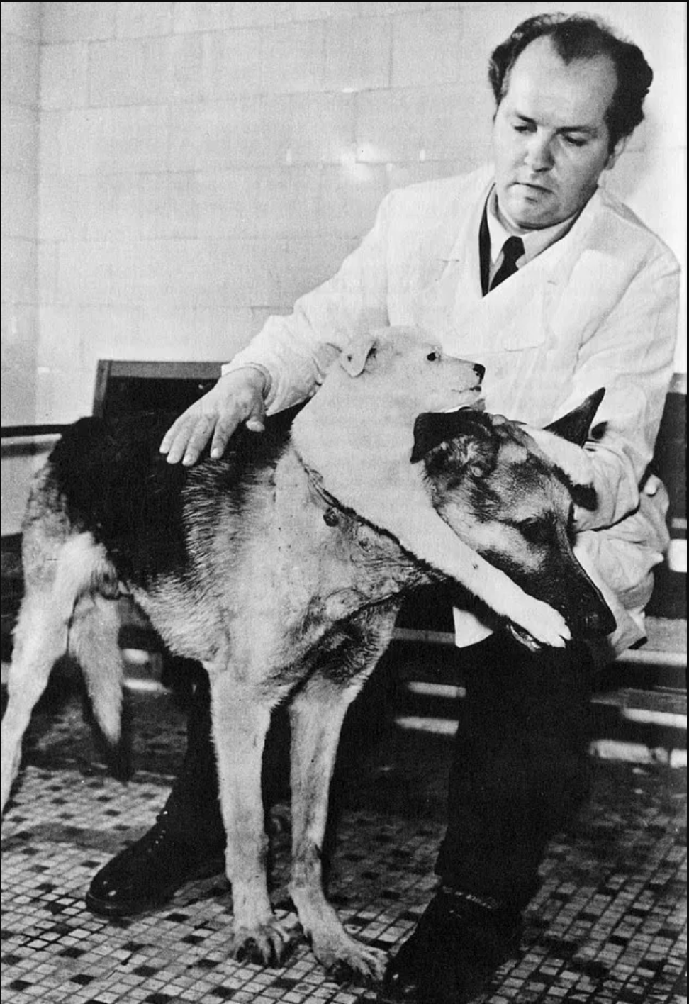 نگاهی به آزمایشات ترسناک دانشمندان اتحاد جماهیر شوروی روی حیوانات