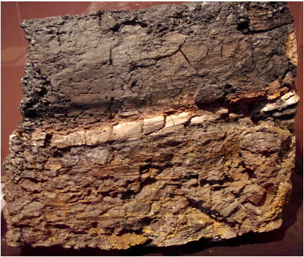 عامل قتل‌عام دایناسورها احتمالاً از ورای سیاره مشتری به سمت زمین آمده است