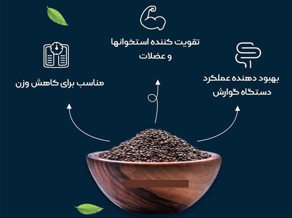 دانه چیا چیست و چه زمانی برای لاغری استفاده شود بهتر است؟