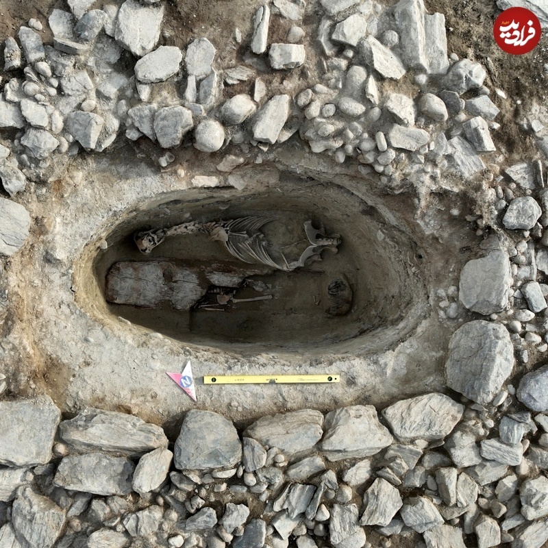 (تصاویر) کشف مقبره‌های ۲ هزارسالۀ «اسب و انسان» در قزاقستان