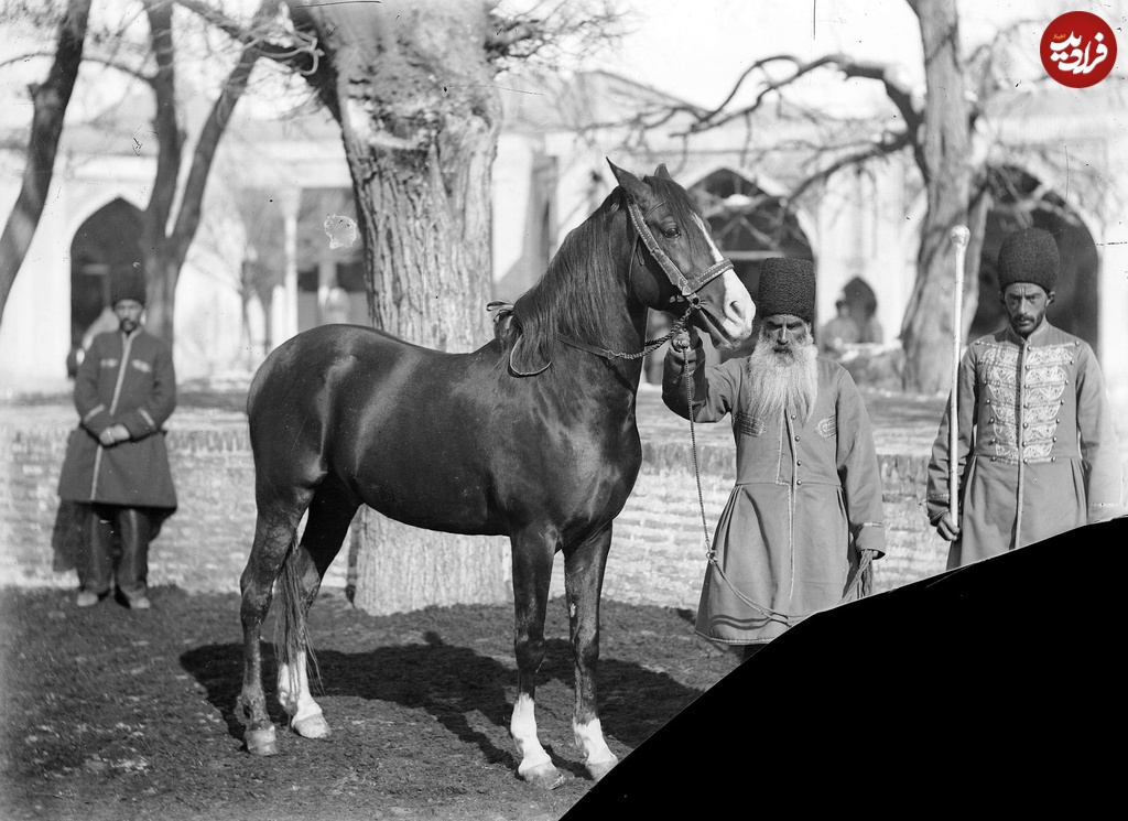(تصاویر) خاطرات تهران قدیم؛ از «اسب شاه» تا «عوارضی کرج»