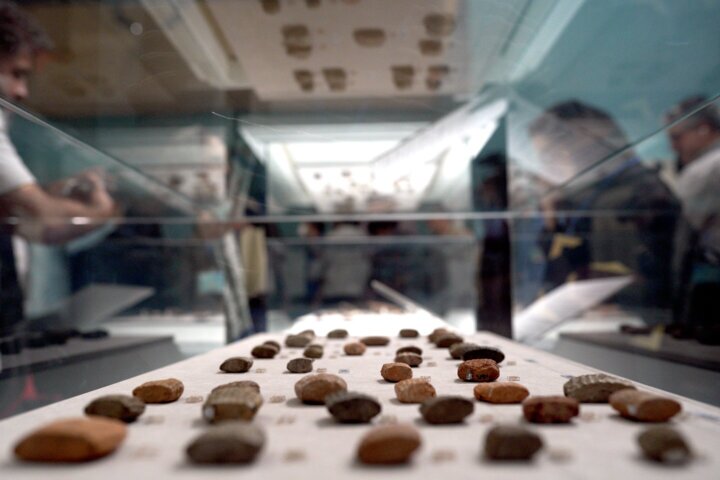 گِل‌نِبِشته‌های هخامنشی به ما چه می‌گویند؟////